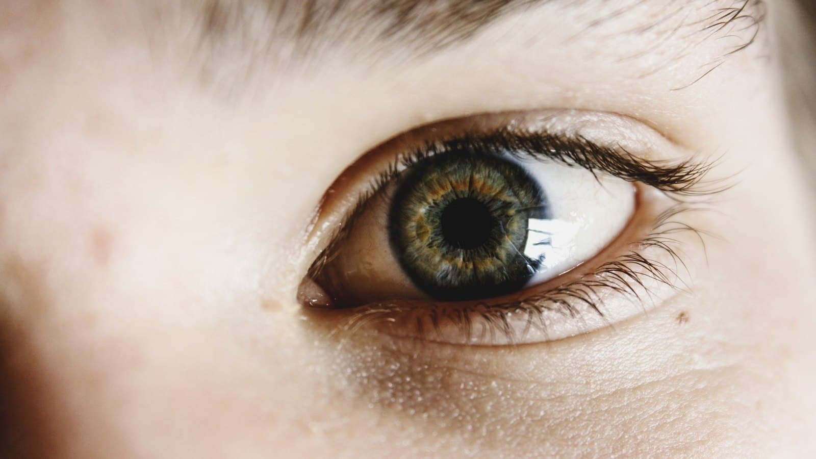 Le regard au premier coup d'œil : c'est dans cet instant que se forme le jugement d'attrait mesuré par l'étude.